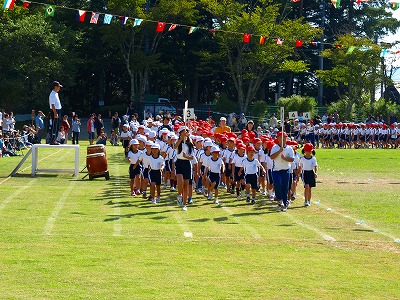 s-O1183130.jpg