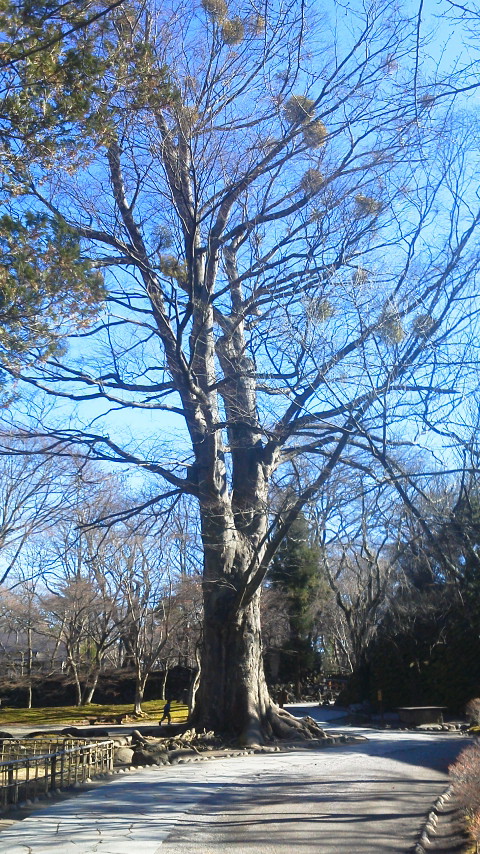 2010120411240000.jpg