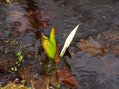 O1246752.jpg