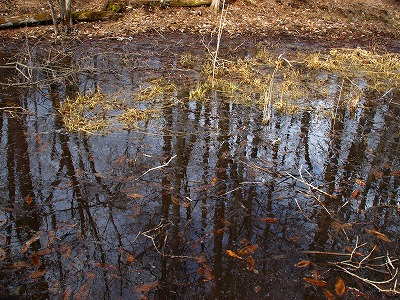 O1246753.jpg
