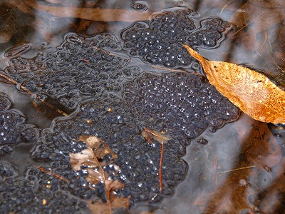 O1246757.jpg