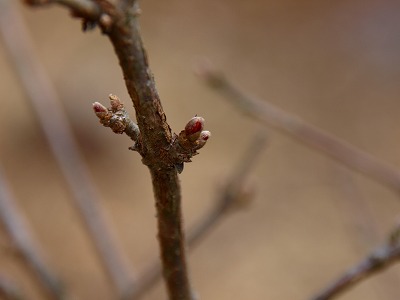 O1246760.jpg